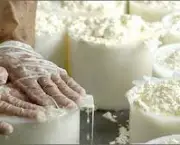 fabricacao-artesanal-de-queijos (1)