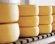fabricacao-artesanal-de-queijos (3)