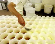 fabricacao-artesanal-de-queijos (4)