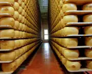 fabricacao-artesanal-de-queijos (6)
