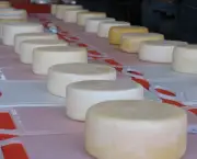 fabricacao-artesanal-de-queijos (15)