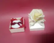 Fazendo Embalagens Com Origami (7)