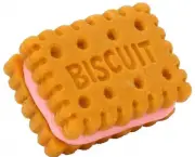 a-historia-do-biscuit (18)