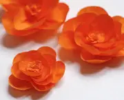 Como-fazer-flores-de-papel-crepom-06