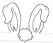 orelhas-de-coelho (14)