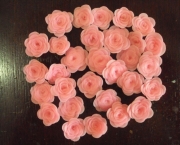 Rosas de Biscuit (1)