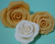 Rosas de Biscuit (8)