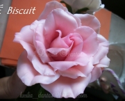 Rosas de Biscuit (15)