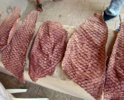Transformar Pele de Peixe em Artesanato (1)