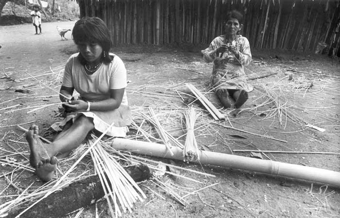 Tribo Guarani Mbyá